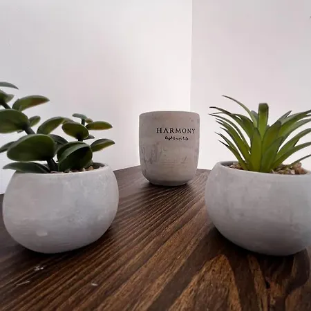 Piedra Pura فيلة